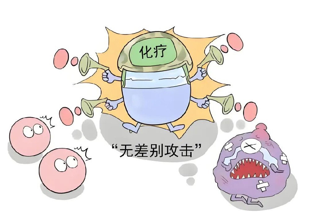 化疗後「藥毒」幾時先排得清？代謝有規律，關鍵睇 3 樣